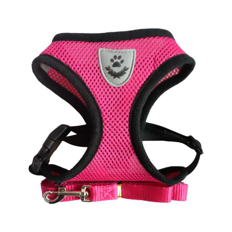 Rope Harness for Dogs with Collar and Leash