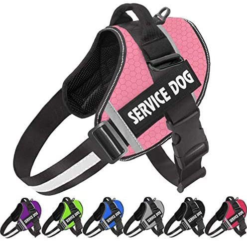 Comfortable Reflective Dog Harness with Leash