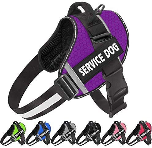 Comfortable Reflective Dog Harness with Leash