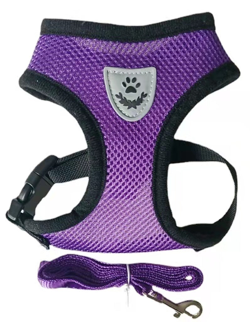 Rope Harness for Dogs with Collar and Leash