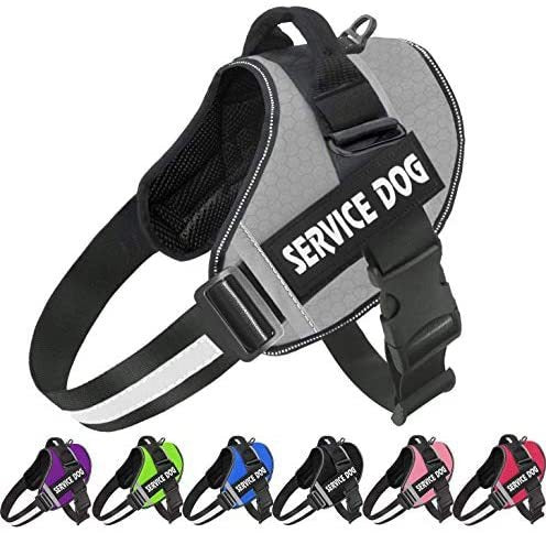 Comfortable Reflective Dog Harness with Leash