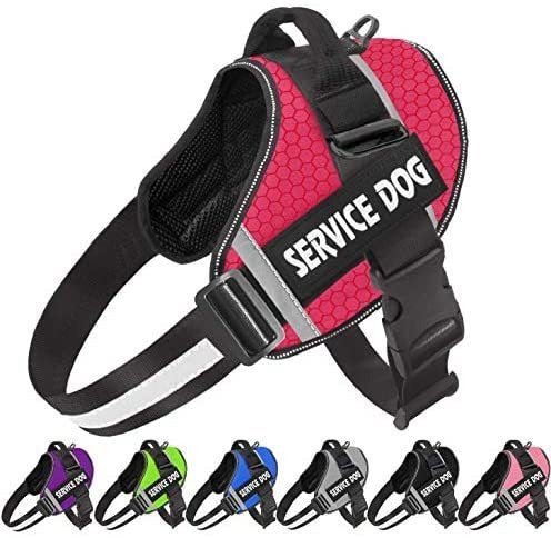 Comfortable Reflective Dog Harness with Leash