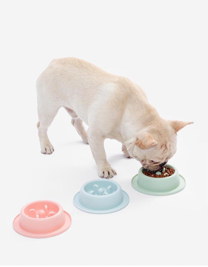 Comedouro de Alimentação Lenta para Cães e Gatos