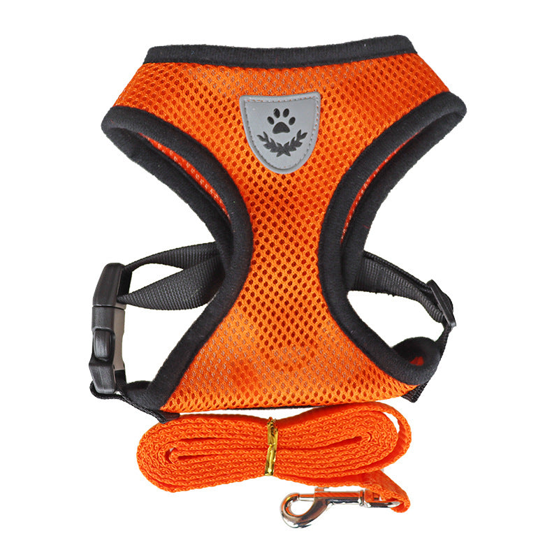 Rope Harness for Dogs with Collar and Leash