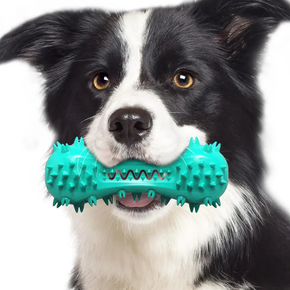 Osso Haltere com Som para Cães
