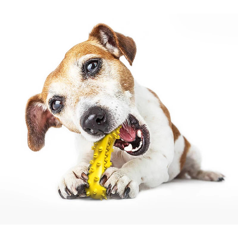 Osso Haltere com Som para Cães
